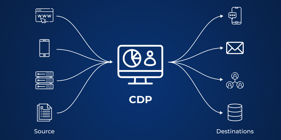 CDP cases
